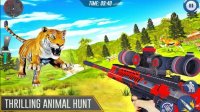 Savanna Watch Puzzle