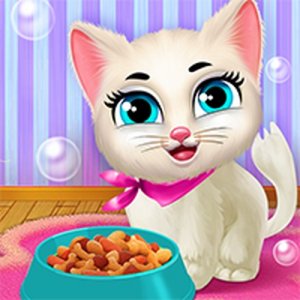 Purrfect Pet Haven
