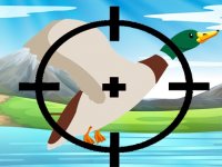 Duck Tap - Casual Action