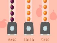 Tropical Fruit Organizer Puzzle