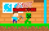 Steve Crystal Quest Platformer